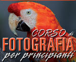 Corso di Fotografia per principianti a Piossasco